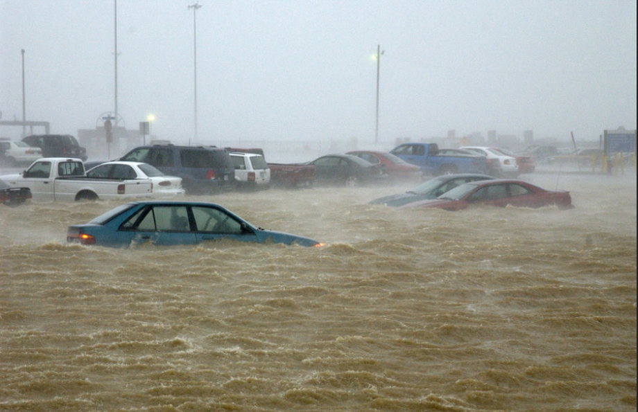 Rising Tides of Change: The Looming Threat of Climate Change on Hampton Roads